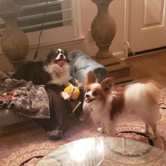 Meet your Posher, Kelly - Picture 2 of 4